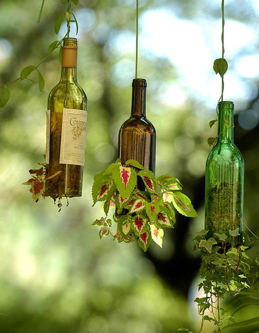 botellas de vino convertidas en macetas